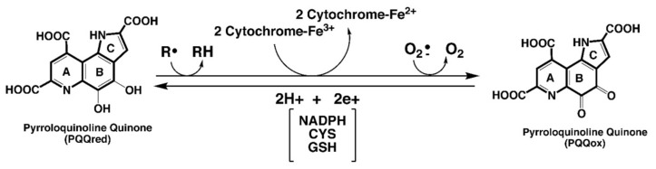 包含圖片、插圖等的外部文件。
對象名稱為 biomolecules-11-01441-g001.jpg