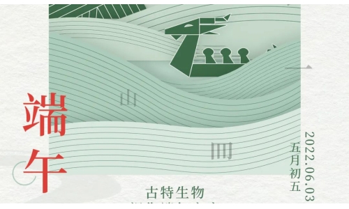 端午 - 爭(zhēng)流而上，行舟踏浪
