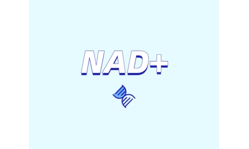 NAD+ 對(duì)身體有什么作用？如何獲取 NAD+？