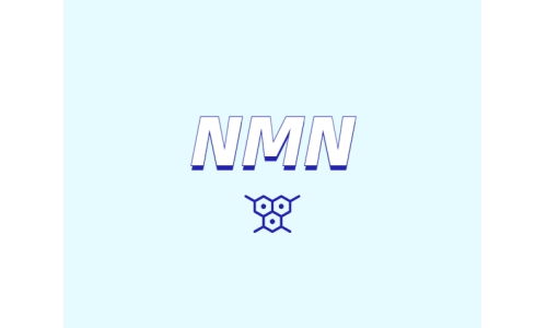 NMN對消化系統(tǒng)有什么幫助？