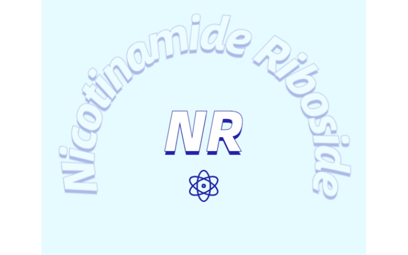 煙酰胺核糖氯化物是如何增加NDA+水平的？